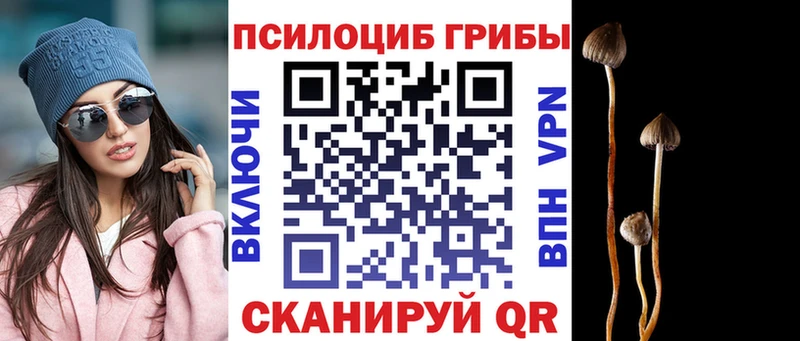 нарко площадка официальный сайт  наркотики  Шахты  Псилоцибиновые грибы Magic Shrooms 